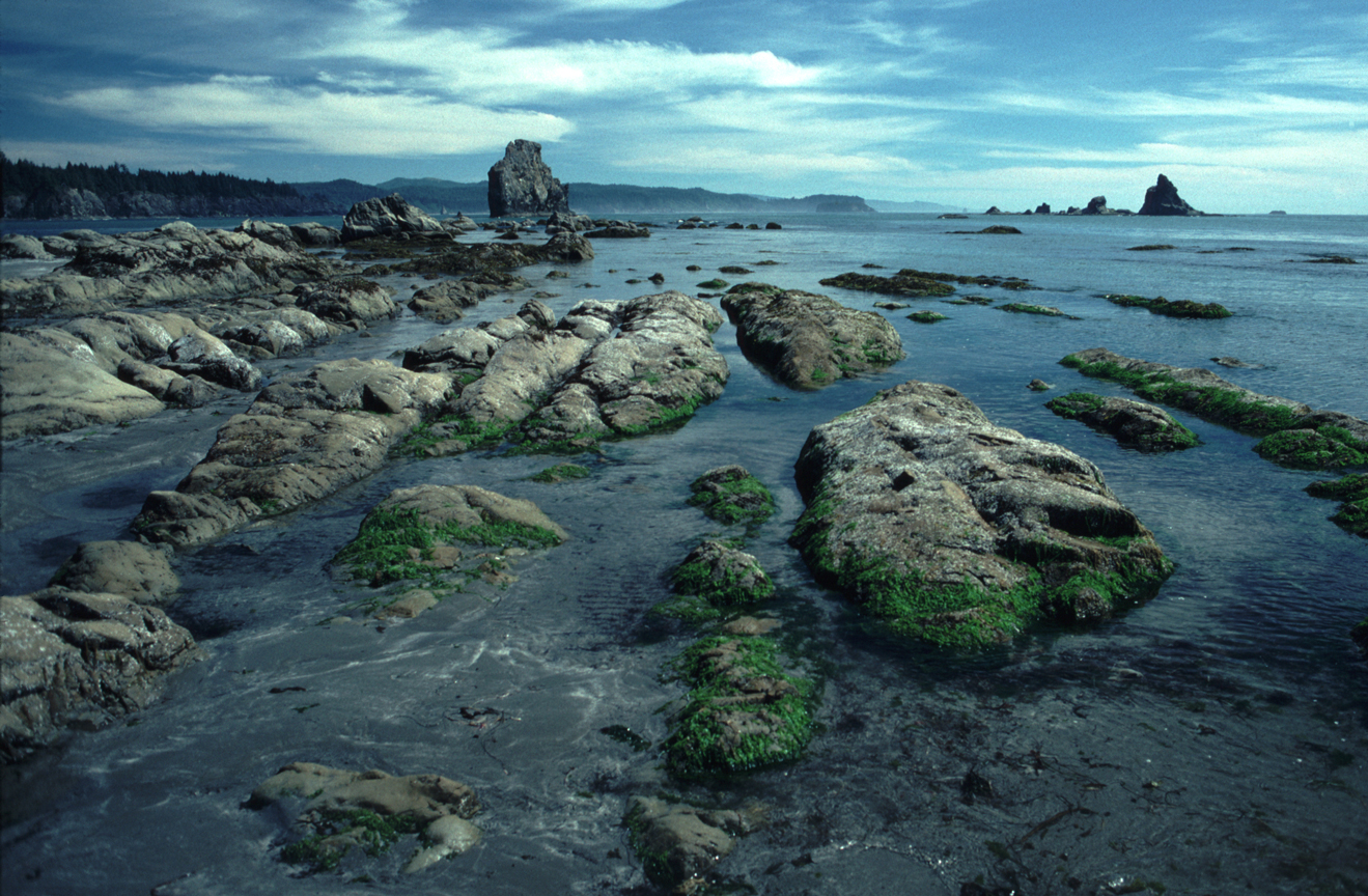 Washington Coast Restoration And Resiliency Initiative - RCO